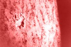 spicules_sm.jpg (8160 bytes)